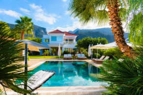 Гостиница Villa Aphrodite  Сисси